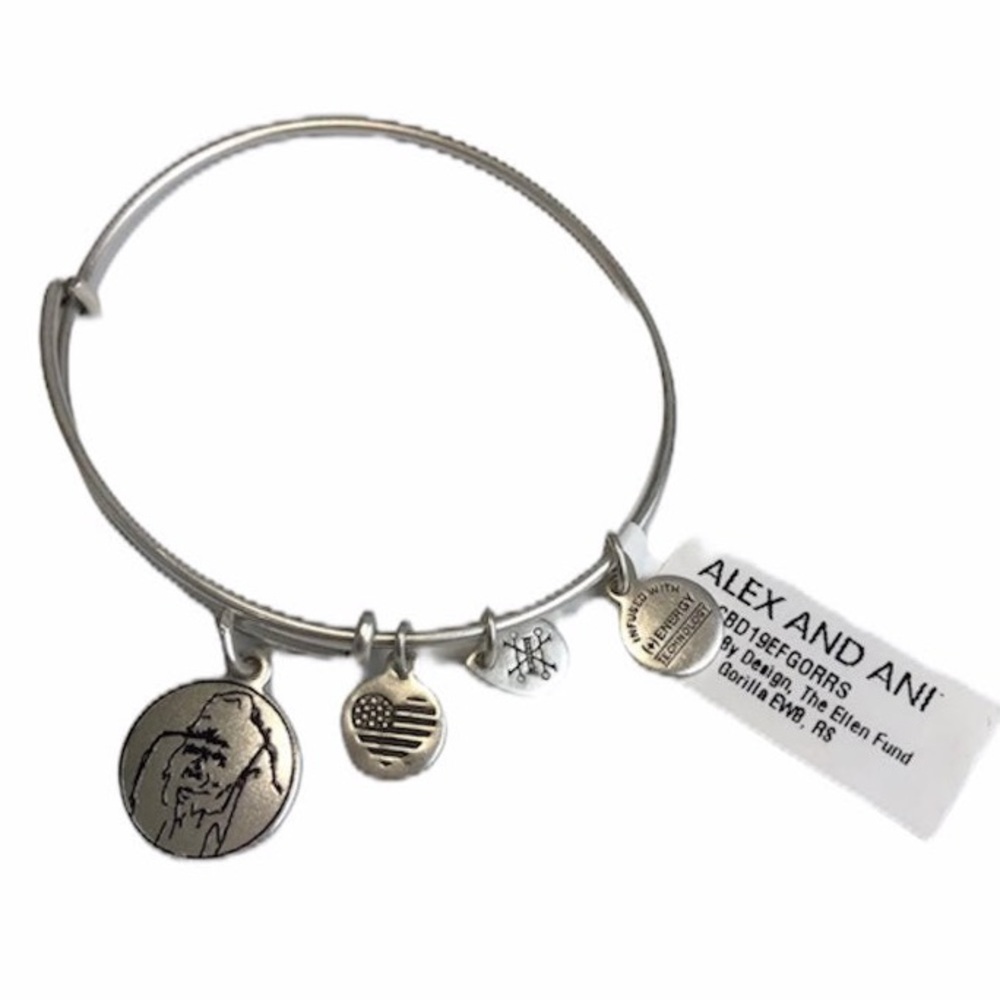 Alex and Ani bracelet